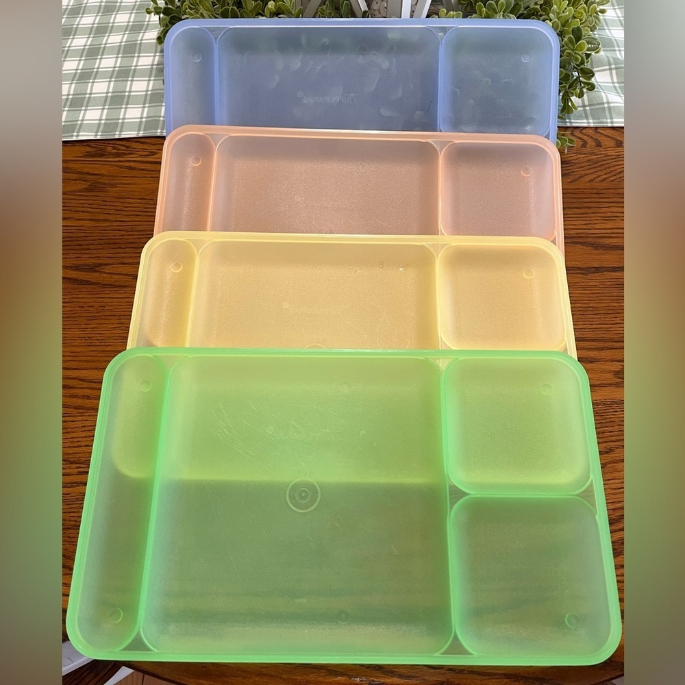Tupperware Classic Divided Picnic Camping Trays Set of 4 Multicolor #1535